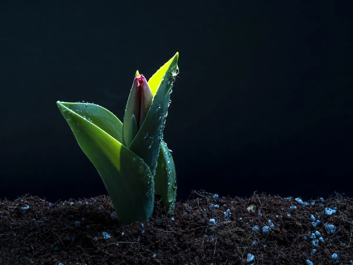 Spring Cleaning After a Wet UK Winter: A Seasonal Checklist